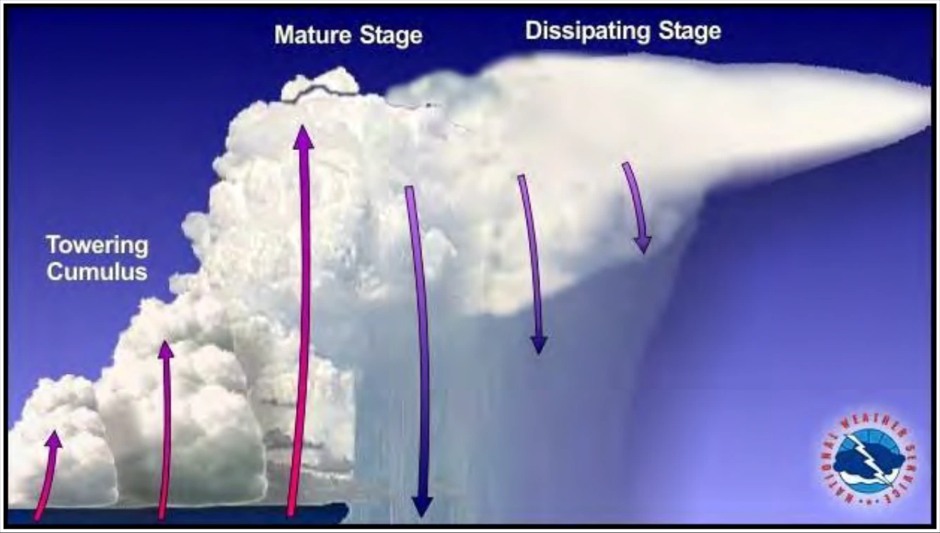 Figure 22-3. Multicell Cluster Thunderstorm