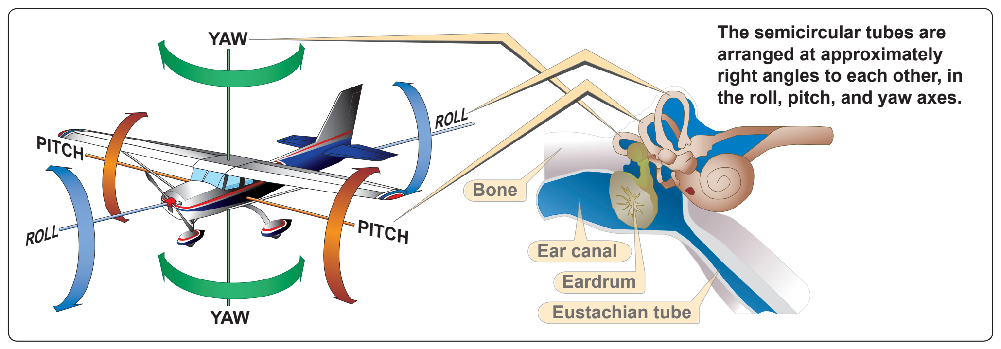 Figure 3-4. Angular acceleration and the semicircular tubes.